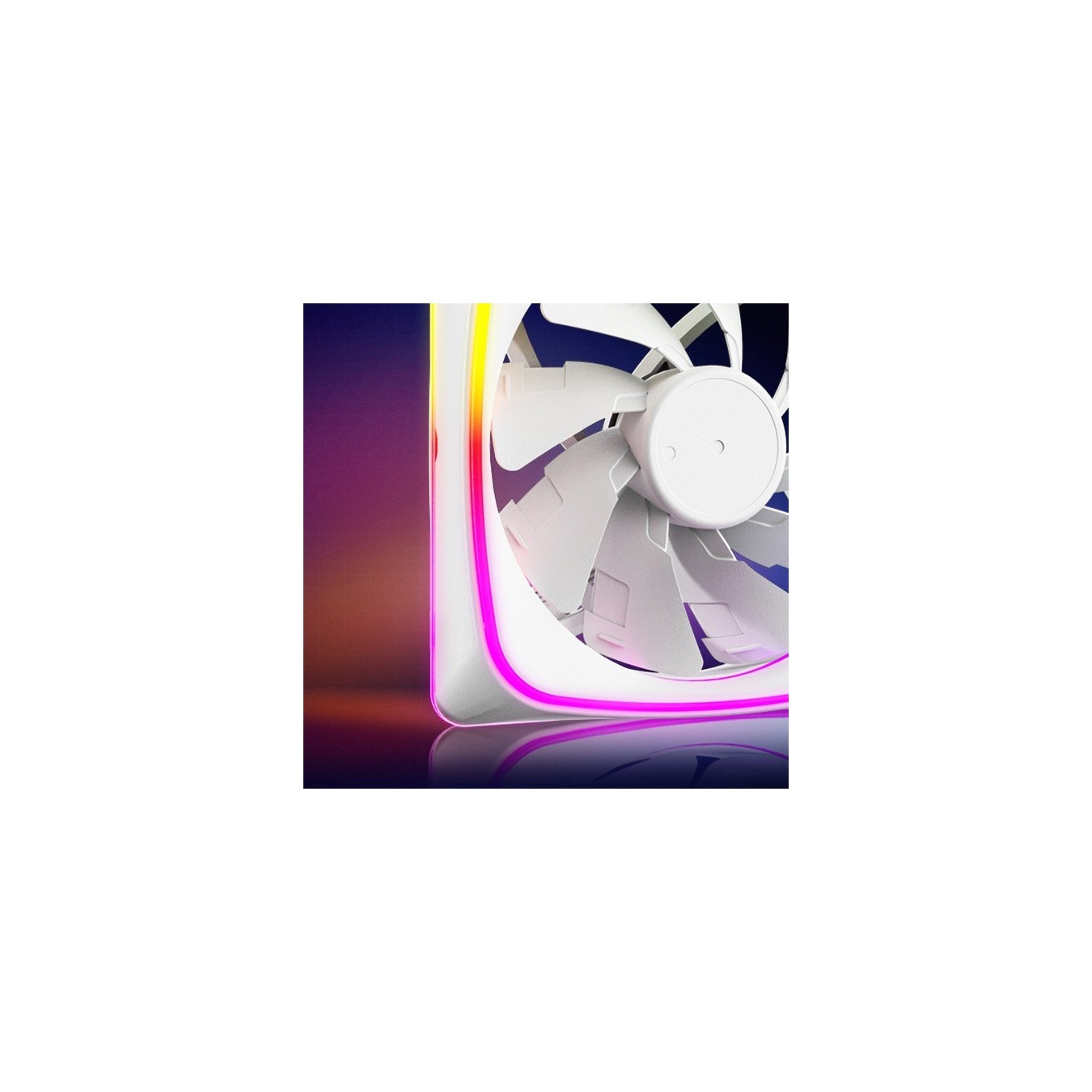SHARK Lights RGB PWM - Case Fan — Buy in Cyprus with Fast Delivery
