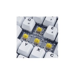 Buy Sharkoon SKILLER SGK50 S3 PBT - 75% Mechanical Gaming Keyboard, Gateron Yell... in Cyprus, Nicosia, Limassol, Larnaka, Pafos