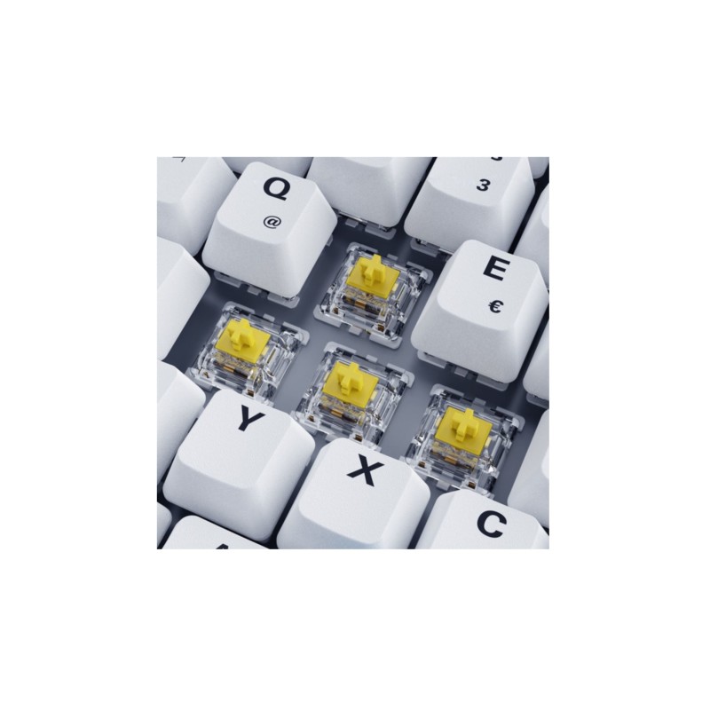 Buy Sharkoon SKILLER SGK50 S3 PBT - 75% Mechanical Gaming Keyboard, Gateron Yell... in Cyprus, Nicosia, Limassol, Larnaka, Pafos