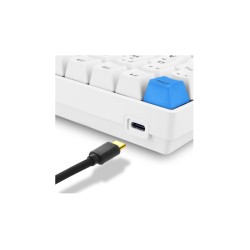 Buy Sharkoon SKILLER SGK50 S3 PBT - 75% Mechanical Gaming Keyboard, Gateron Yell... in Cyprus, Nicosia, Limassol, Larnaka, Pafos