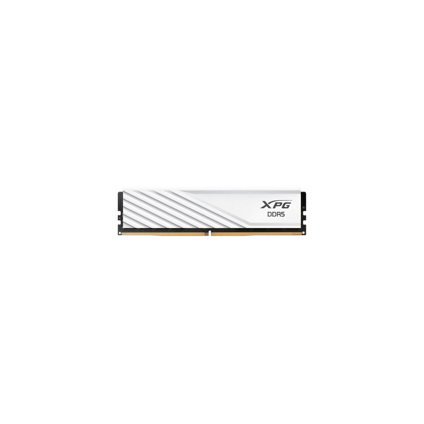 DIMM - 16GB DDR5-6400, RAM — Buy in Cyprus with Fast Delivery