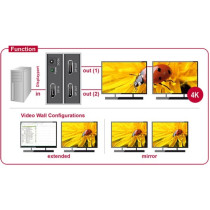DisplayPort Splitter - 1.2 to 2x DisplayPort 4K — Buy in Cyprus with Fast Delivery