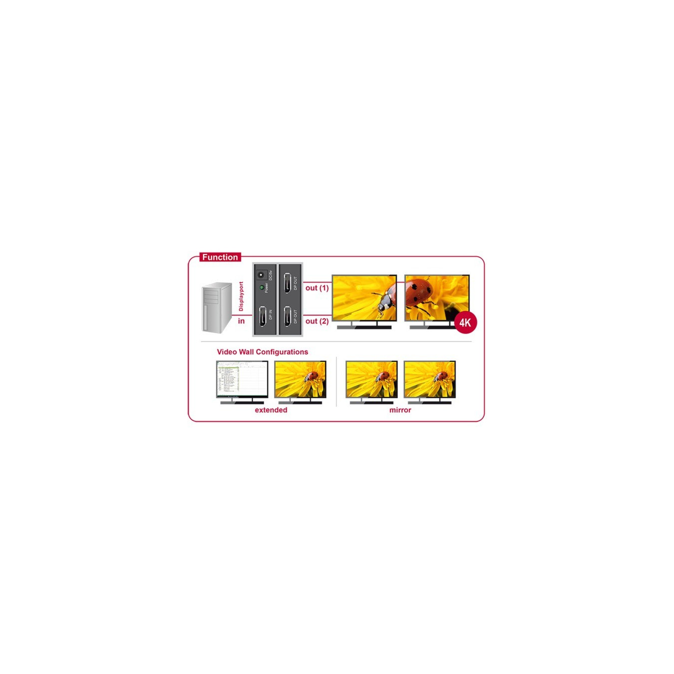 DisplayPort Splitter - 1.2 to 2x DisplayPort 4K — Buy in Cyprus with Fast Delivery