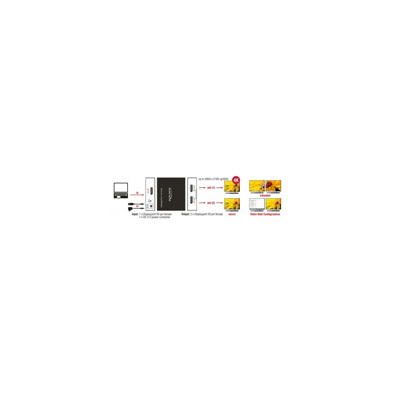 DisplayPort Splitter - 1.2 to 2x DisplayPort 4K — Buy in Cyprus with Fast Delivery
