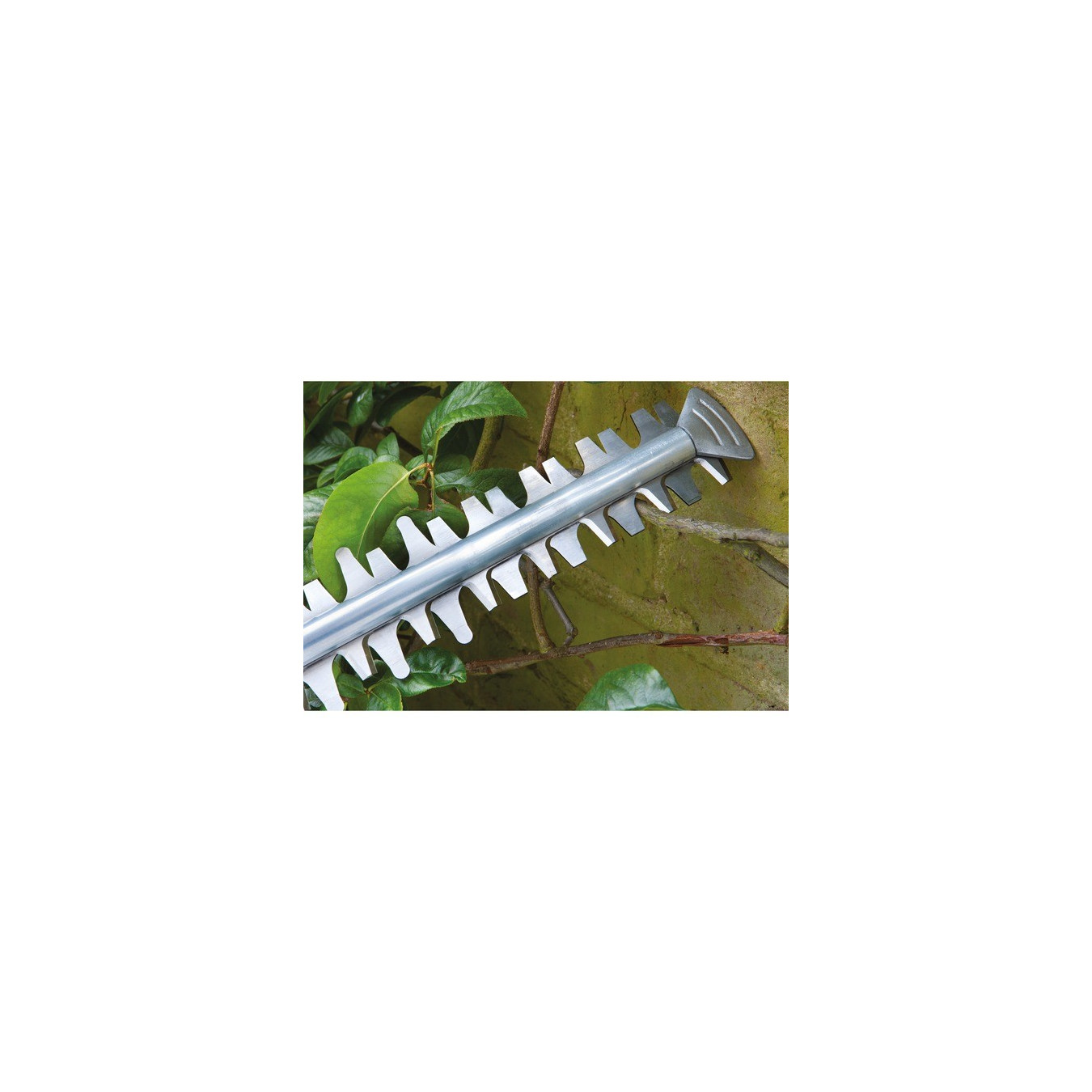 Cordless hedge trimmer Easy HedgeCut - 18-45 - solo — Buy in Cyprus with Fast Delivery