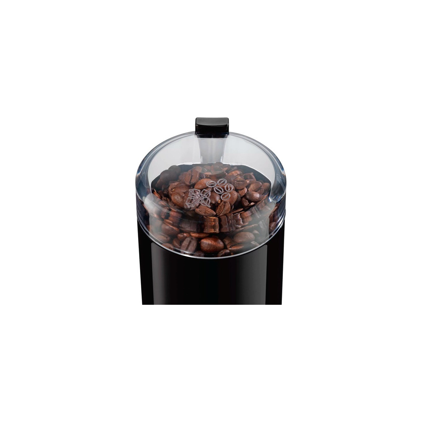 Coffee grinder TSM6A013 — Buy in Cyprus with Fast Delivery