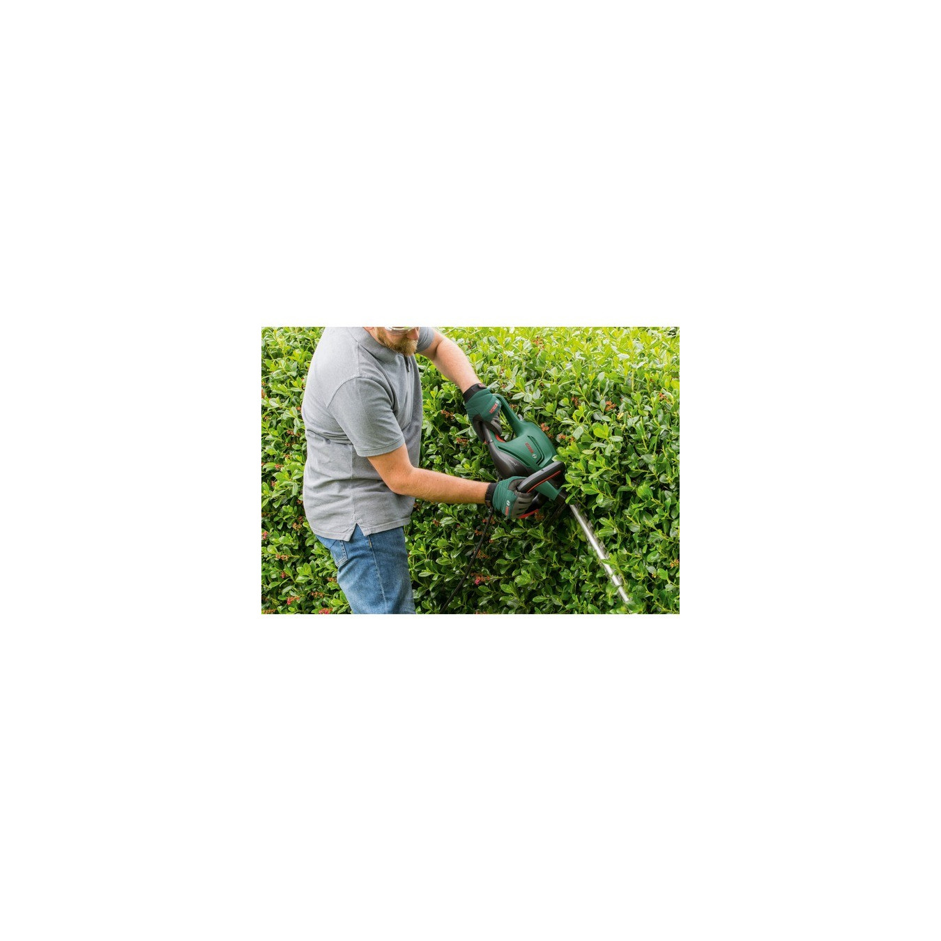 Hedge trimmer Universal HedgeCut 50 — Buy in Cyprus with Fast Delivery