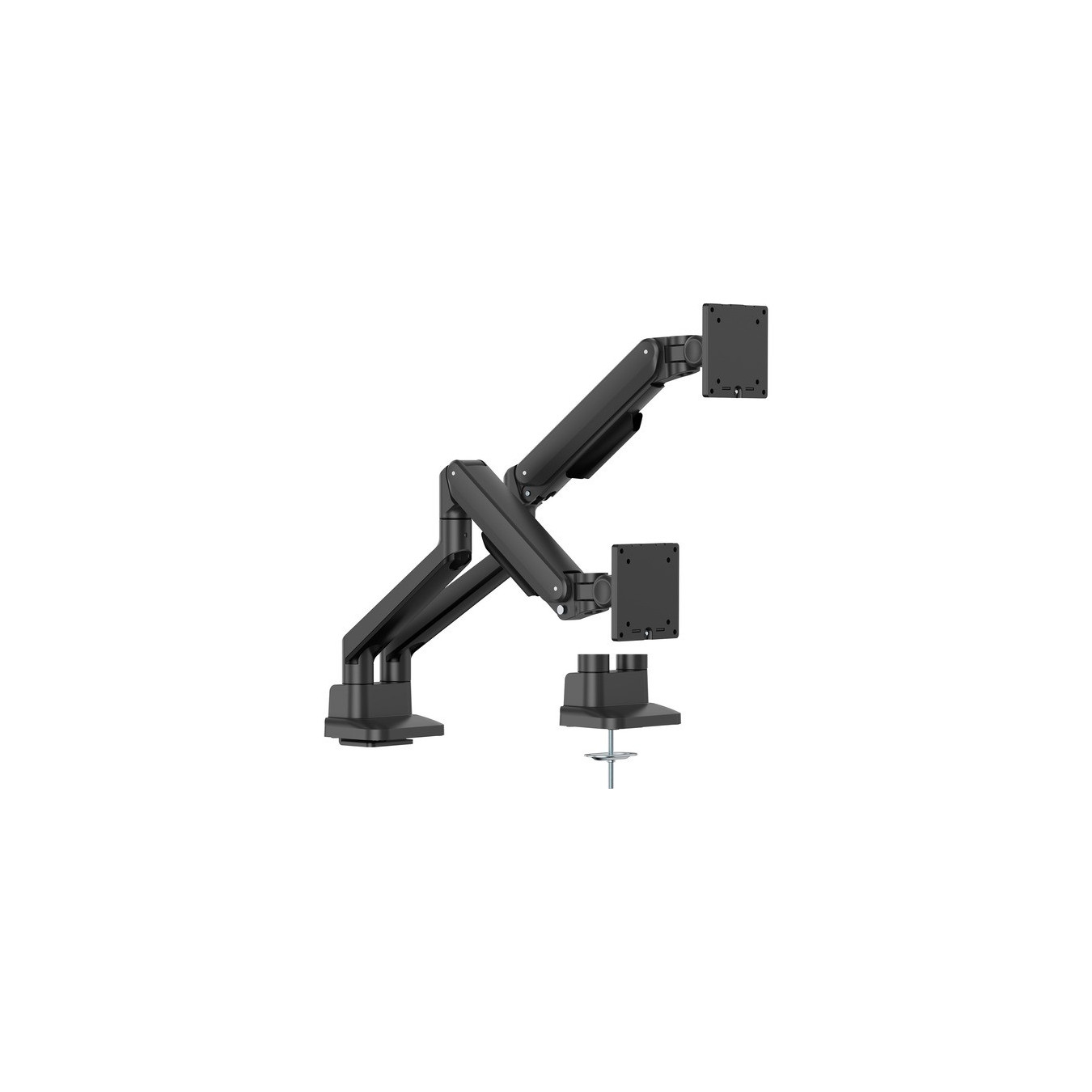 DS4002C-B1, Monitorhalterung — Buy in Cyprus with Fast Delivery