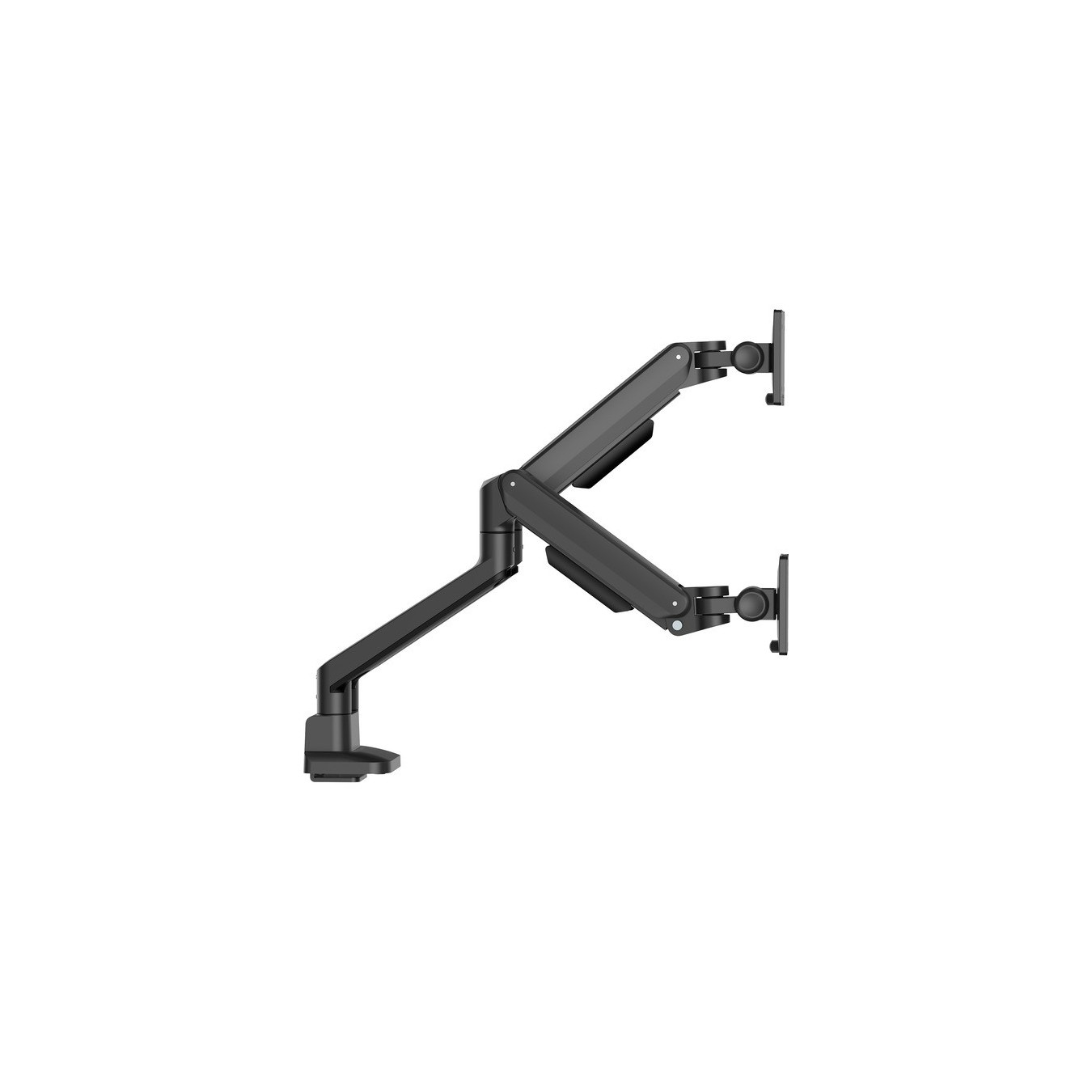 DS4002C-B1, Monitorhalterung — Buy in Cyprus with Fast Delivery
