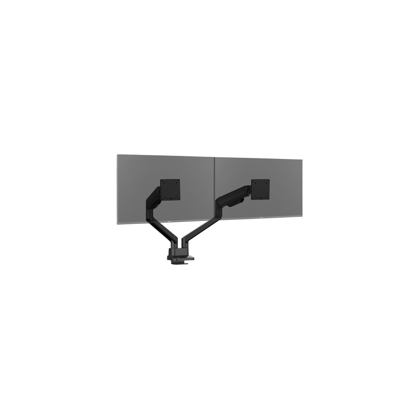 DS4002C-B1, Monitorhalterung — Buy in Cyprus with Fast Delivery