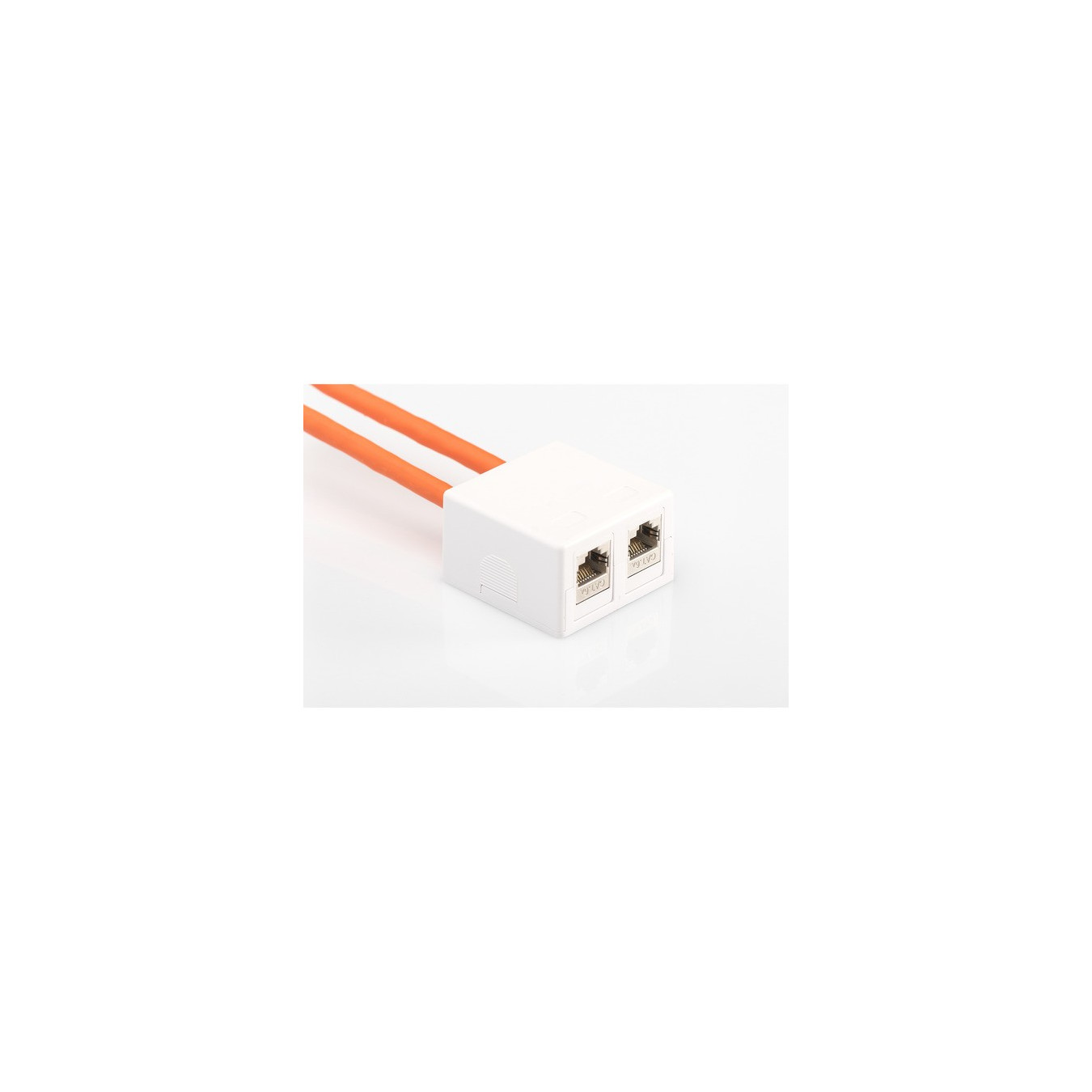 Consolidation point housing, for 2x Keystone modules — Buy in Cyprus with Fast Delivery
