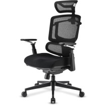 Office chair OfficePal C50 — Buy in Cyprus with Fast Delivery
