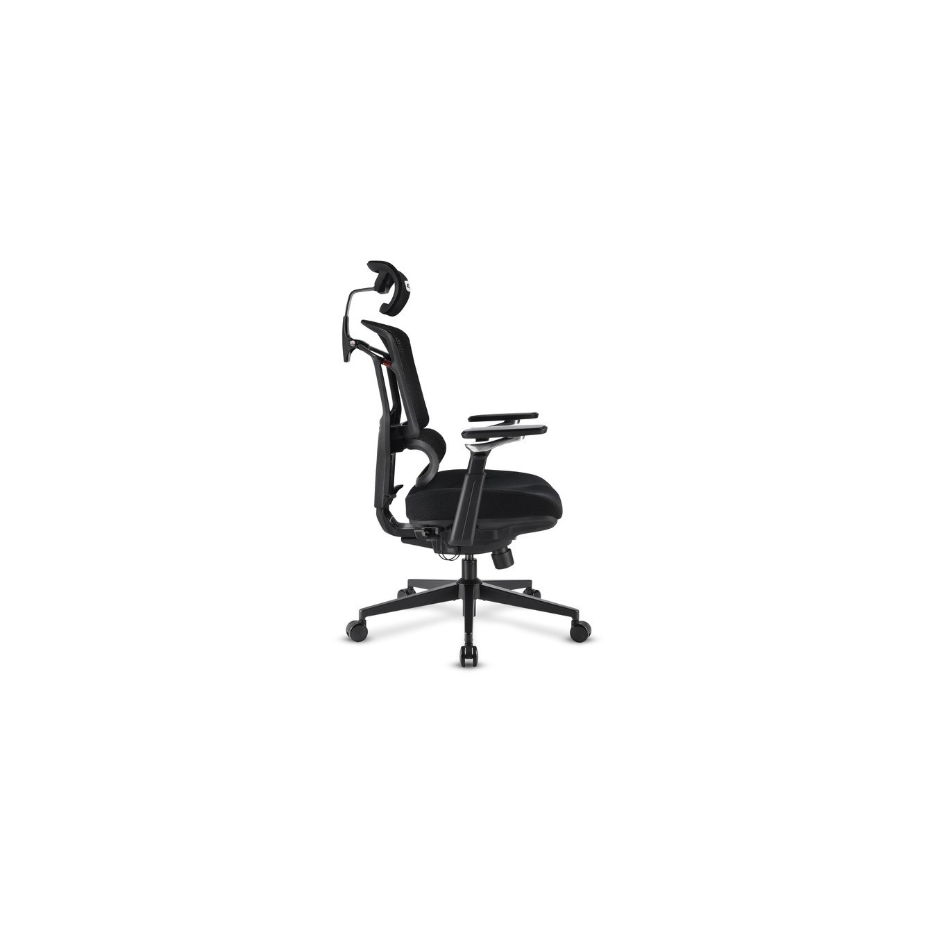 Office chair OfficePal C50 — Buy in Cyprus with Fast Delivery