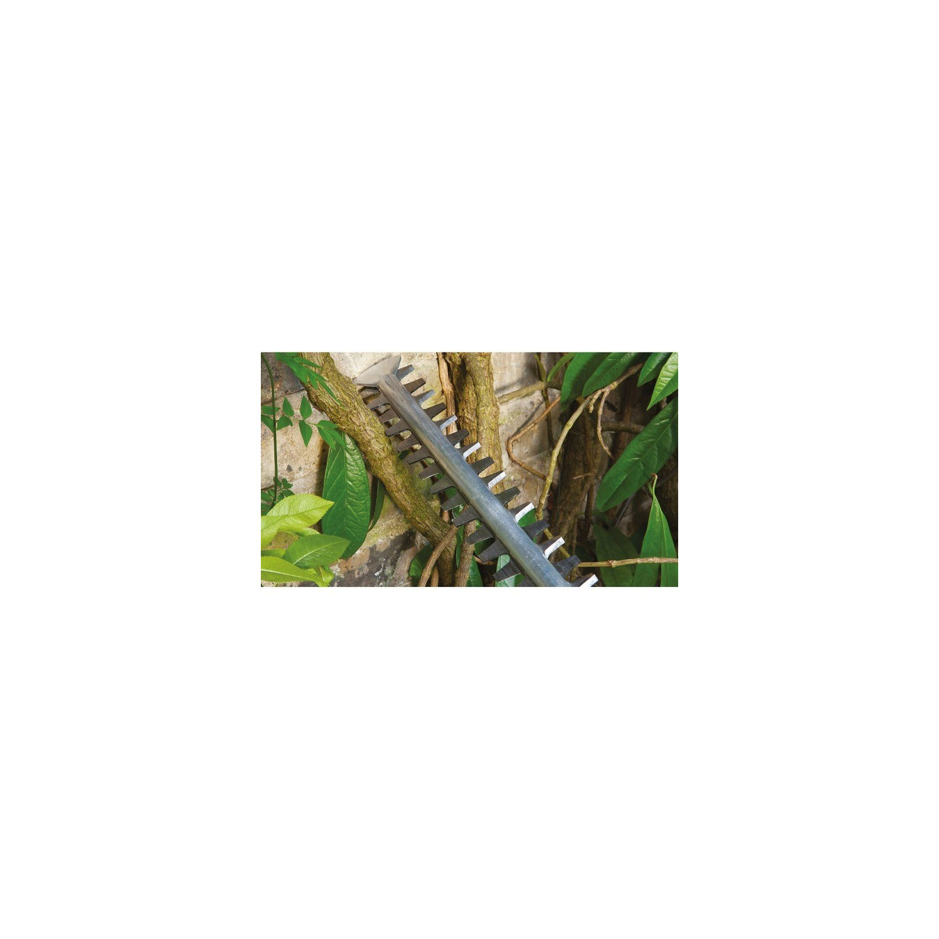 Cordless hedge trimmer EasyHedgeCut 18V-52-13, 18Volt — Buy in Cyprus with Fast Delivery