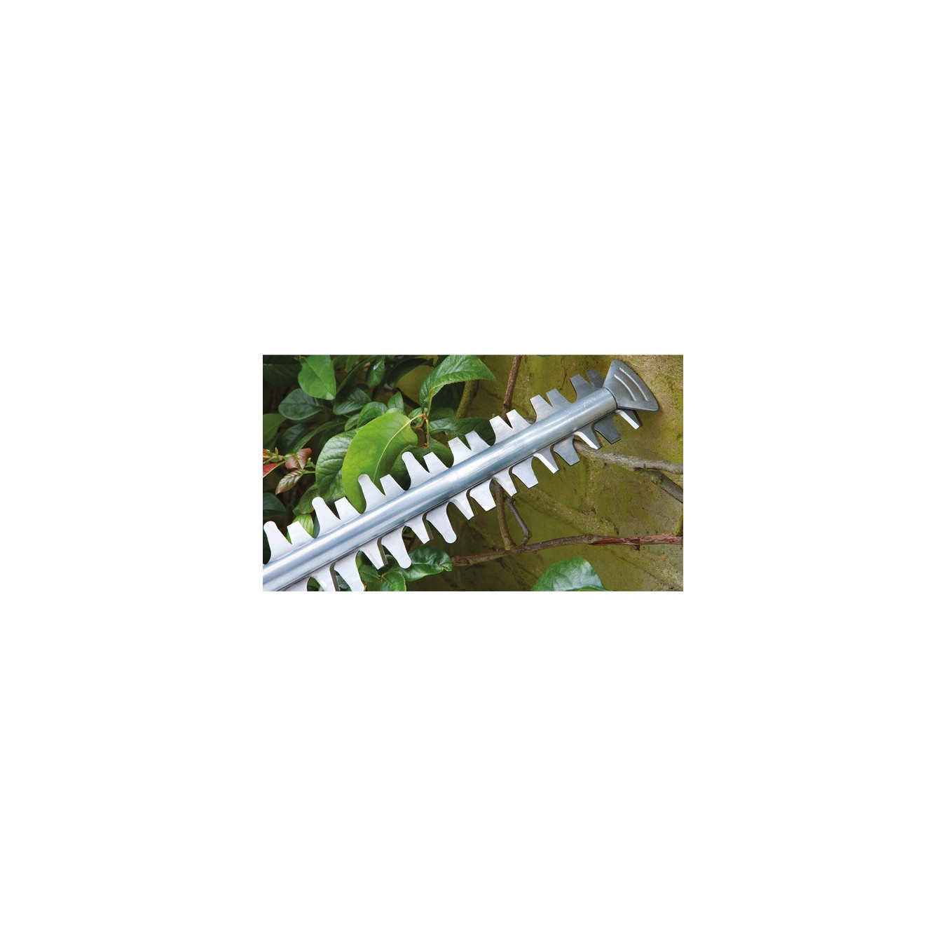 Cordless hedge trimmer EasyHedgeCut 18V-52-13, 18Volt — Buy in Cyprus with Fast Delivery