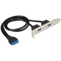 Delock 84836 - USB 3.0 Slot Bracket 19-pin to 2x Type-A | Armenius Store