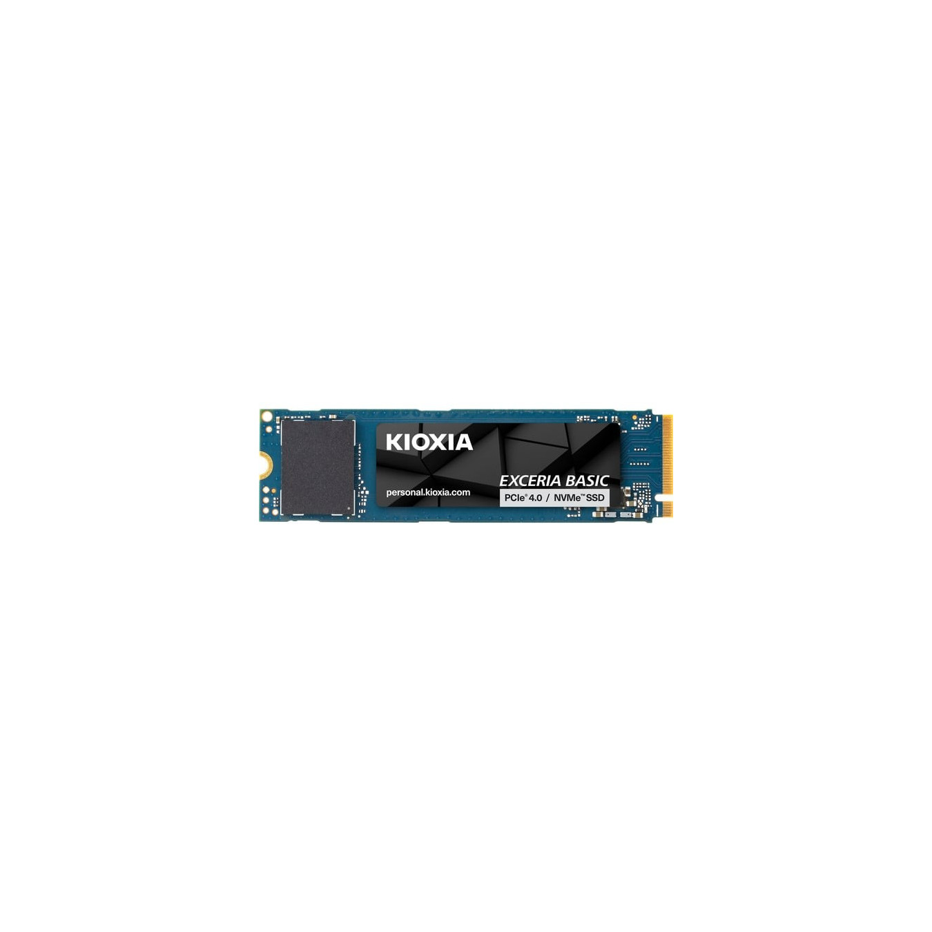 Exceria Basic 1 TB, SSD — Buy in Cyprus with Fast Delivery