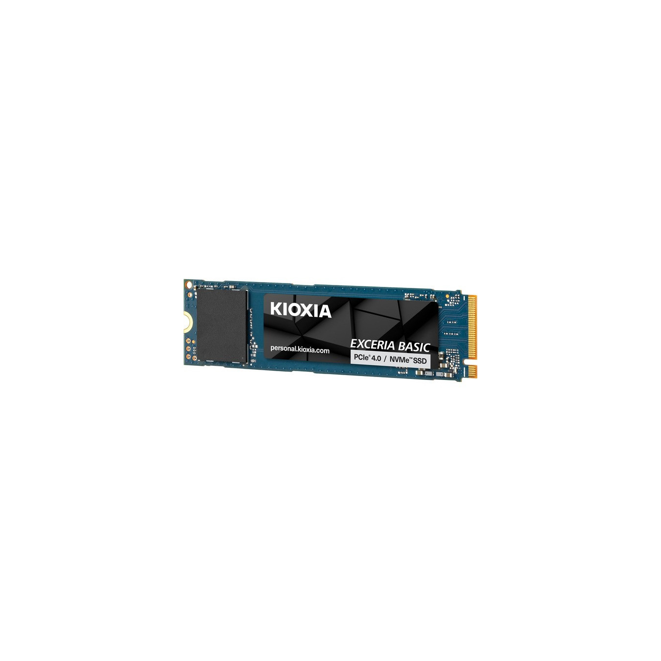 Exceria Basic 1 TB, SSD — Buy in Cyprus with Fast Delivery