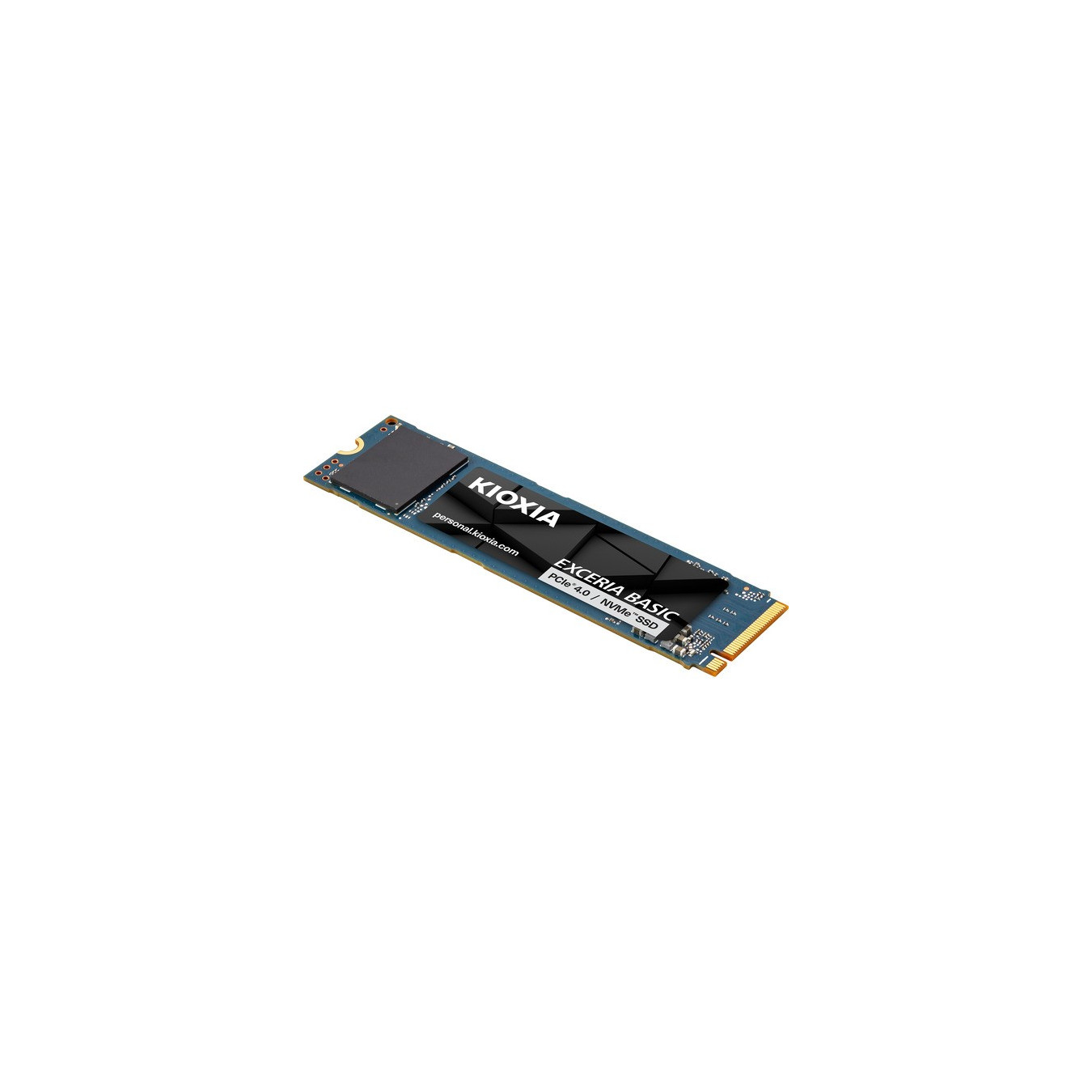 Exceria Basic 1 TB, SSD — Buy in Cyprus with Fast Delivery