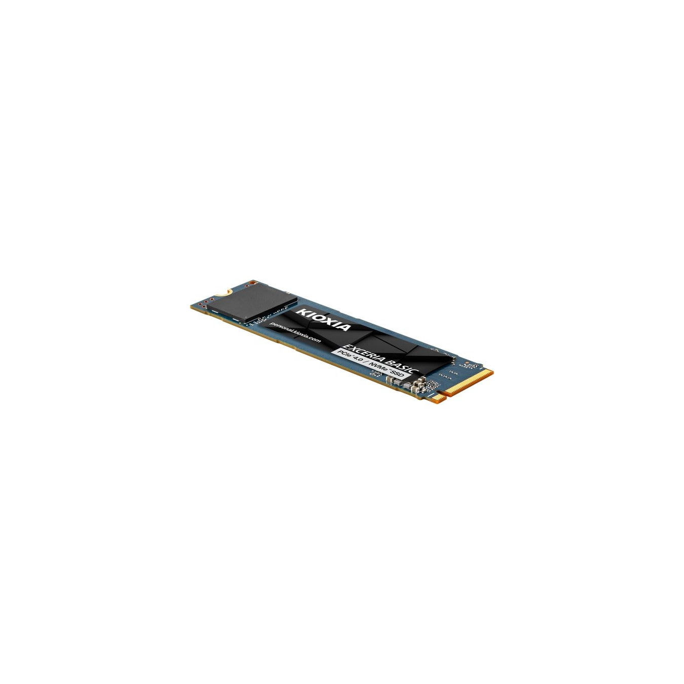 Exceria Basic 1 TB, SSD — Buy in Cyprus with Fast Delivery
