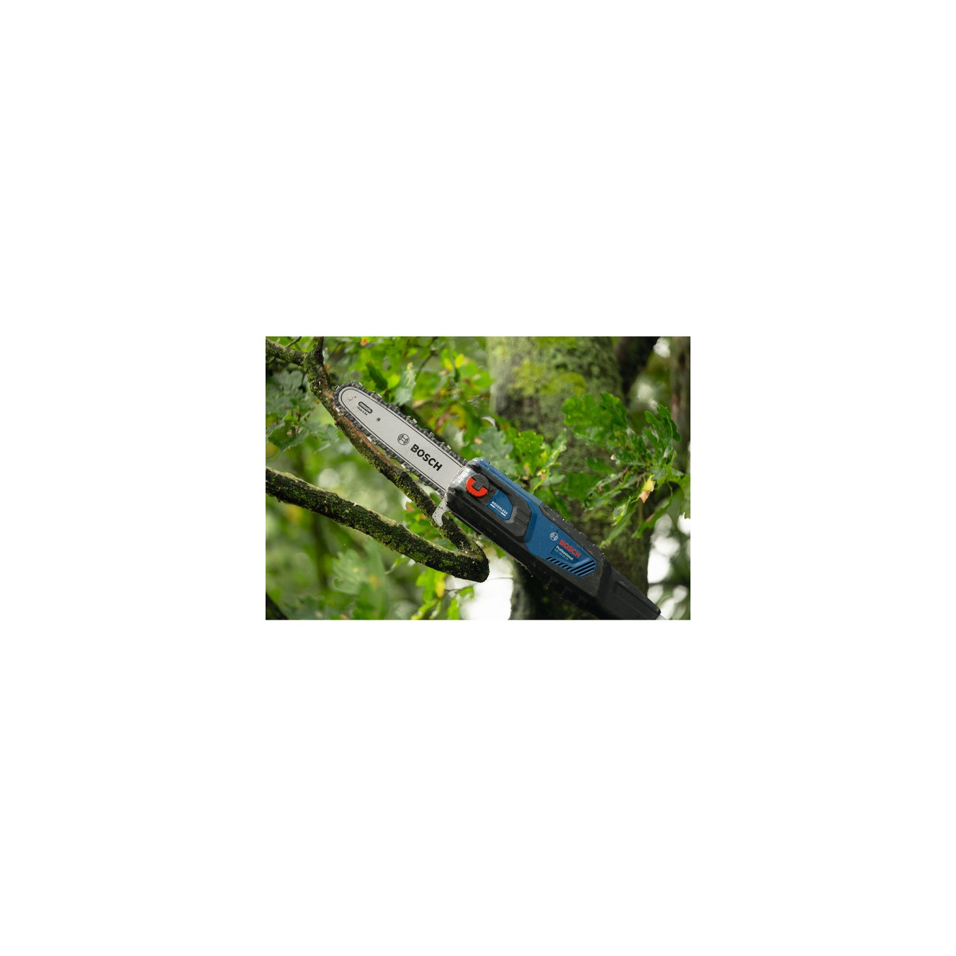 Cordless telescopic pruner GKE 18V-25 TP Professional solo, chainsaw — Buy in Cyprus with Fast Delivery