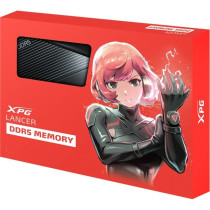 DIMM 64 GB DDR5-6000 (2x 32 GB) dual kit, RAM — Buy in Cyprus with Fast Delivery