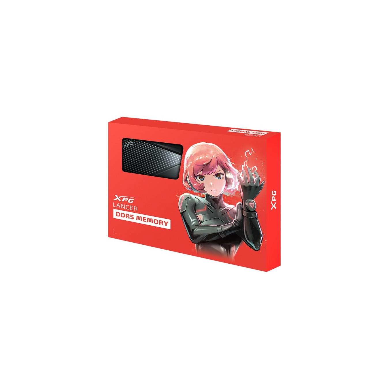 DIMM 64 GB DDR5-6000 (2x 32 GB) dual kit, RAM — Buy in Cyprus with Fast Delivery