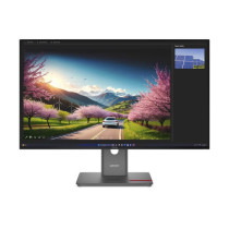 ThinkVision P32UD-40, LED-Monitor — Buy in Cyprus with Fast Delivery