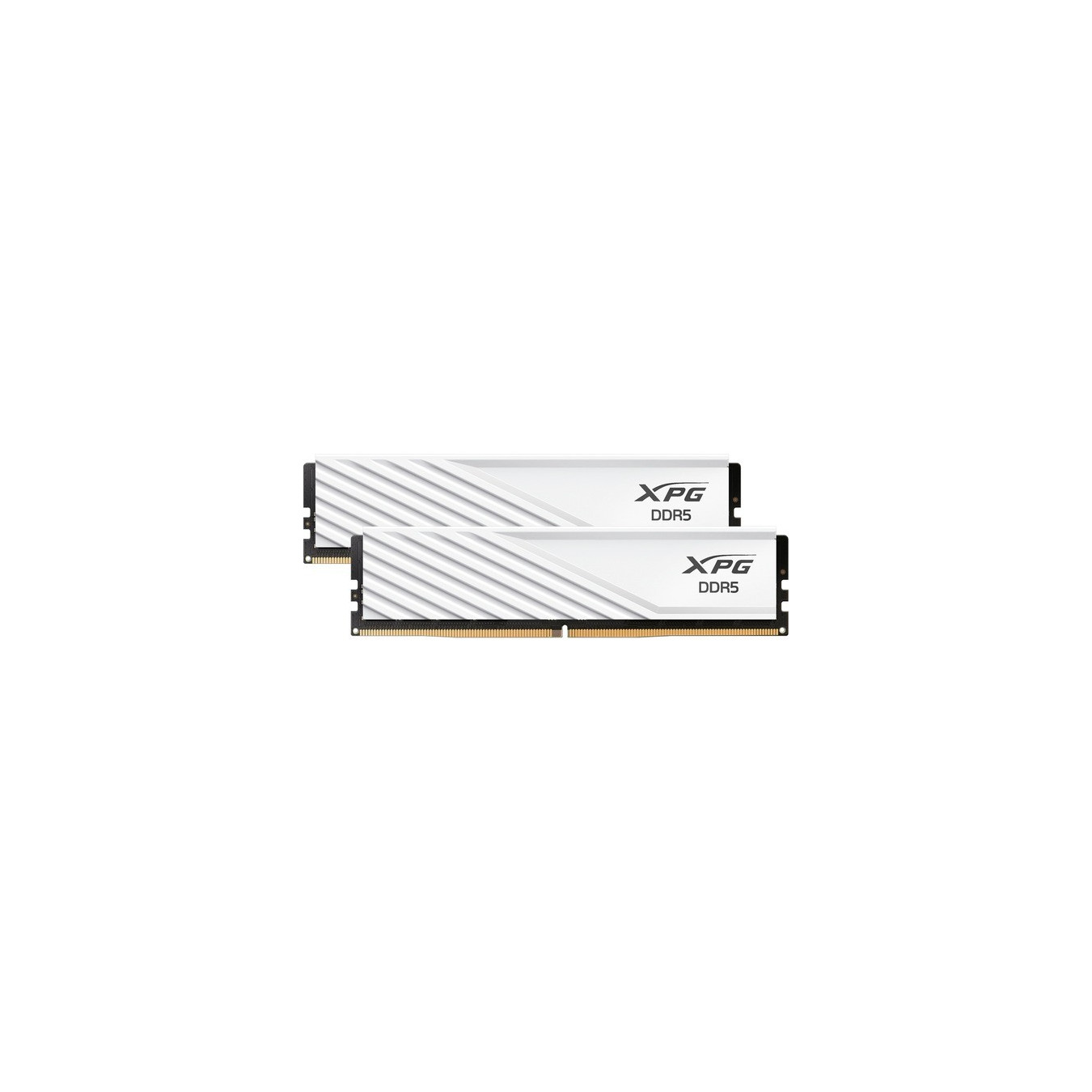 DIMM 32 GB DDR5-5600 (2x 16 GB) dual kit, RAM — Buy in Cyprus with Fast Delivery