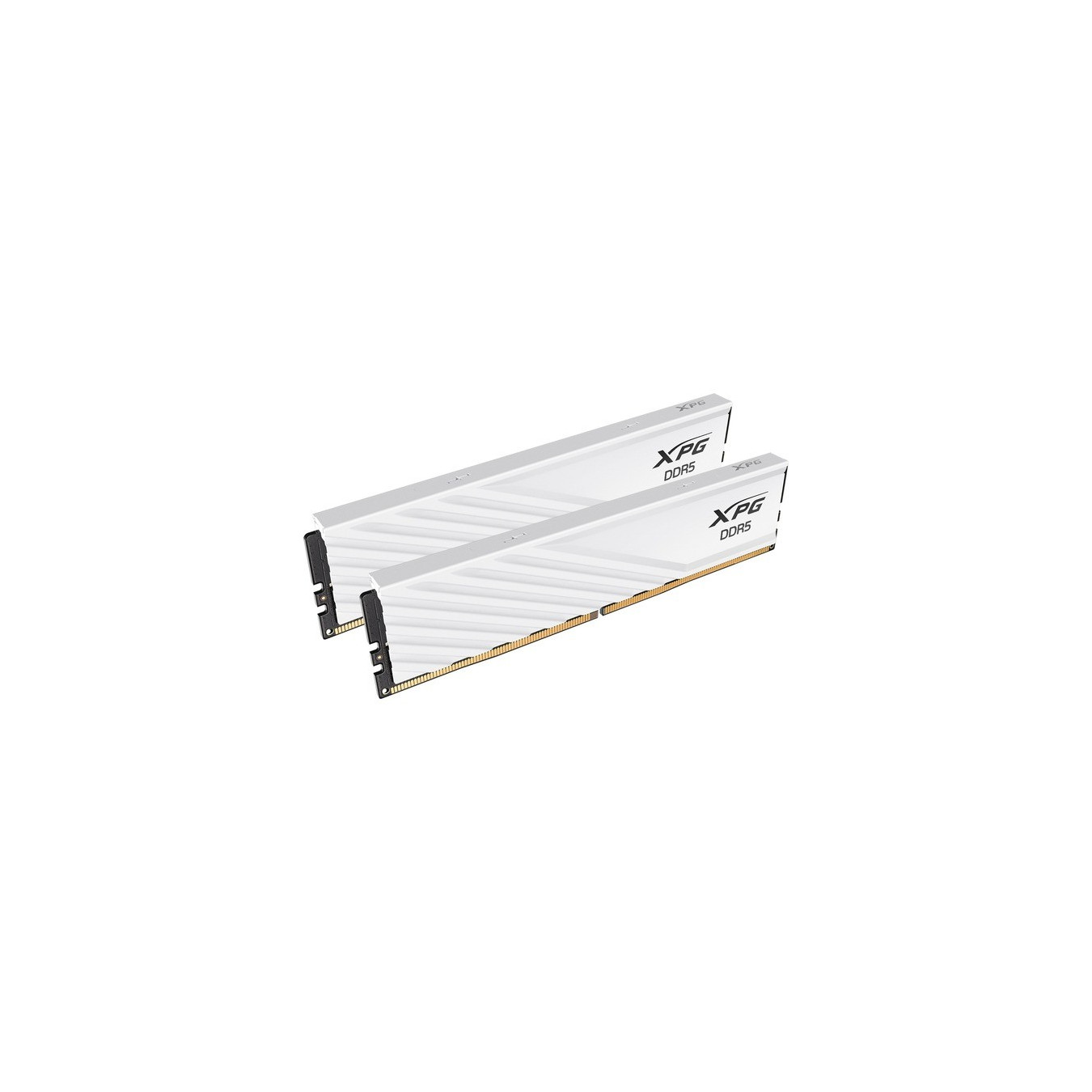 DIMM 32 GB DDR5-5600 (2x 16 GB) dual kit, RAM — Buy in Cyprus with Fast Delivery