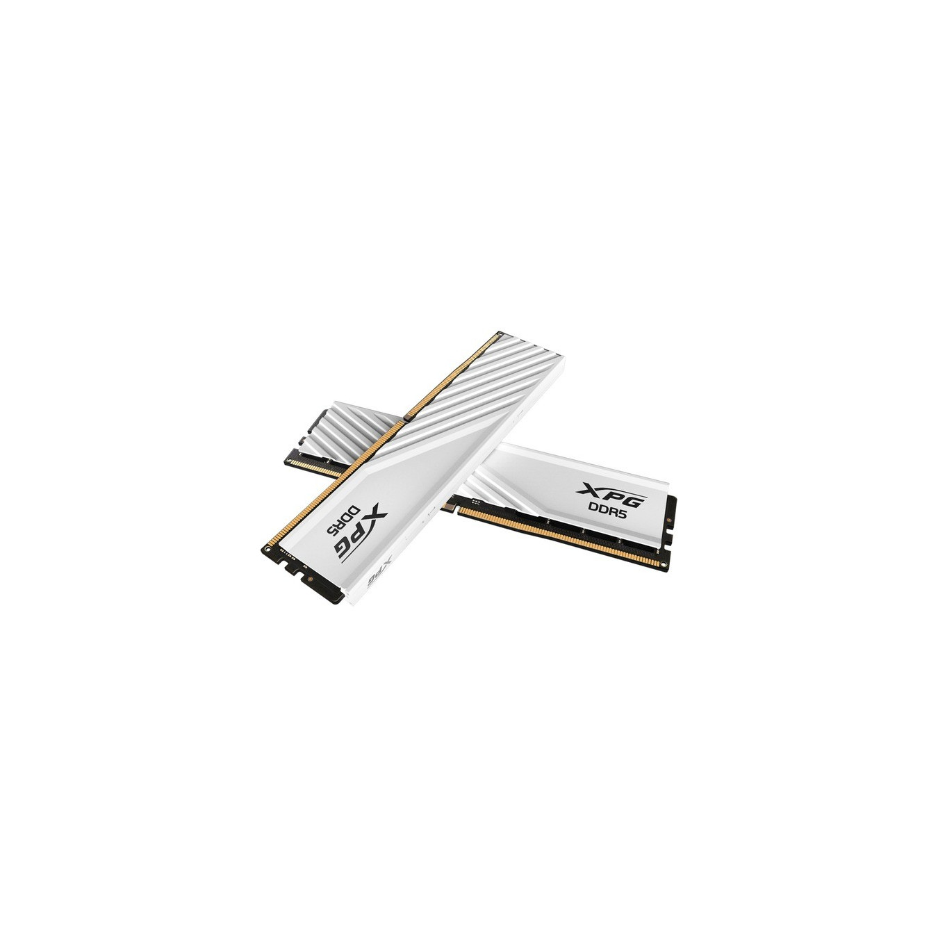 DIMM 32 GB DDR5-5600 (2x 16 GB) dual kit, RAM — Buy in Cyprus with Fast Delivery