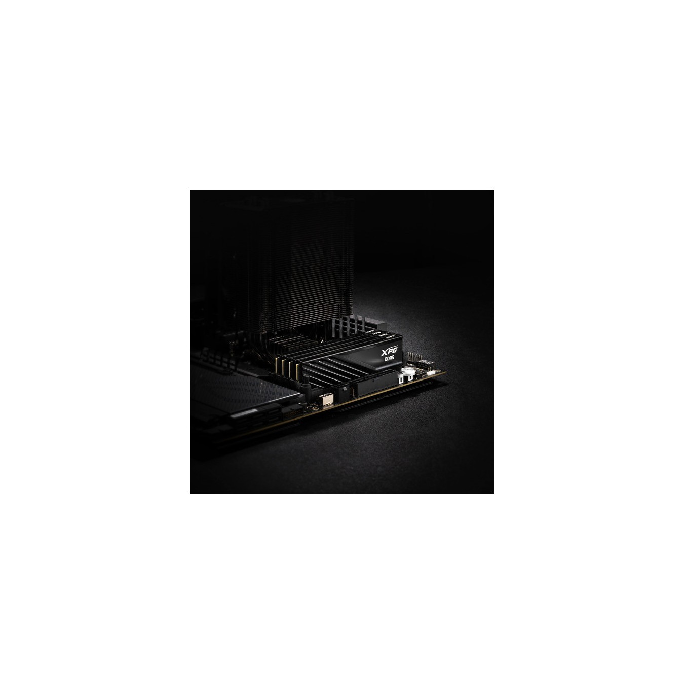 DIMM 64 GB DDR5-6000 (2x 32 GB) dual kit, RAM — Buy in Cyprus with Fast Delivery