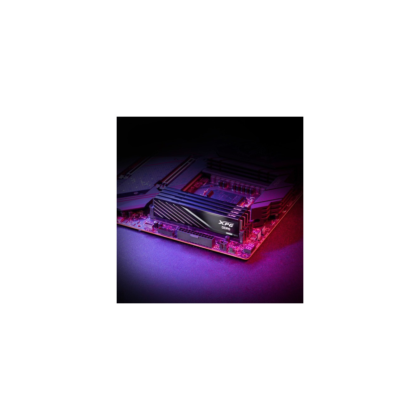 DIMM 64 GB DDR5-6000 (2x 32 GB) dual kit, RAM — Buy in Cyprus with Fast Delivery