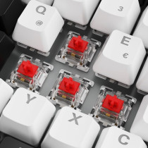 SKILLER SGK50 S3, Gaming Keyboard — Buy in Cyprus with Fast Delivery