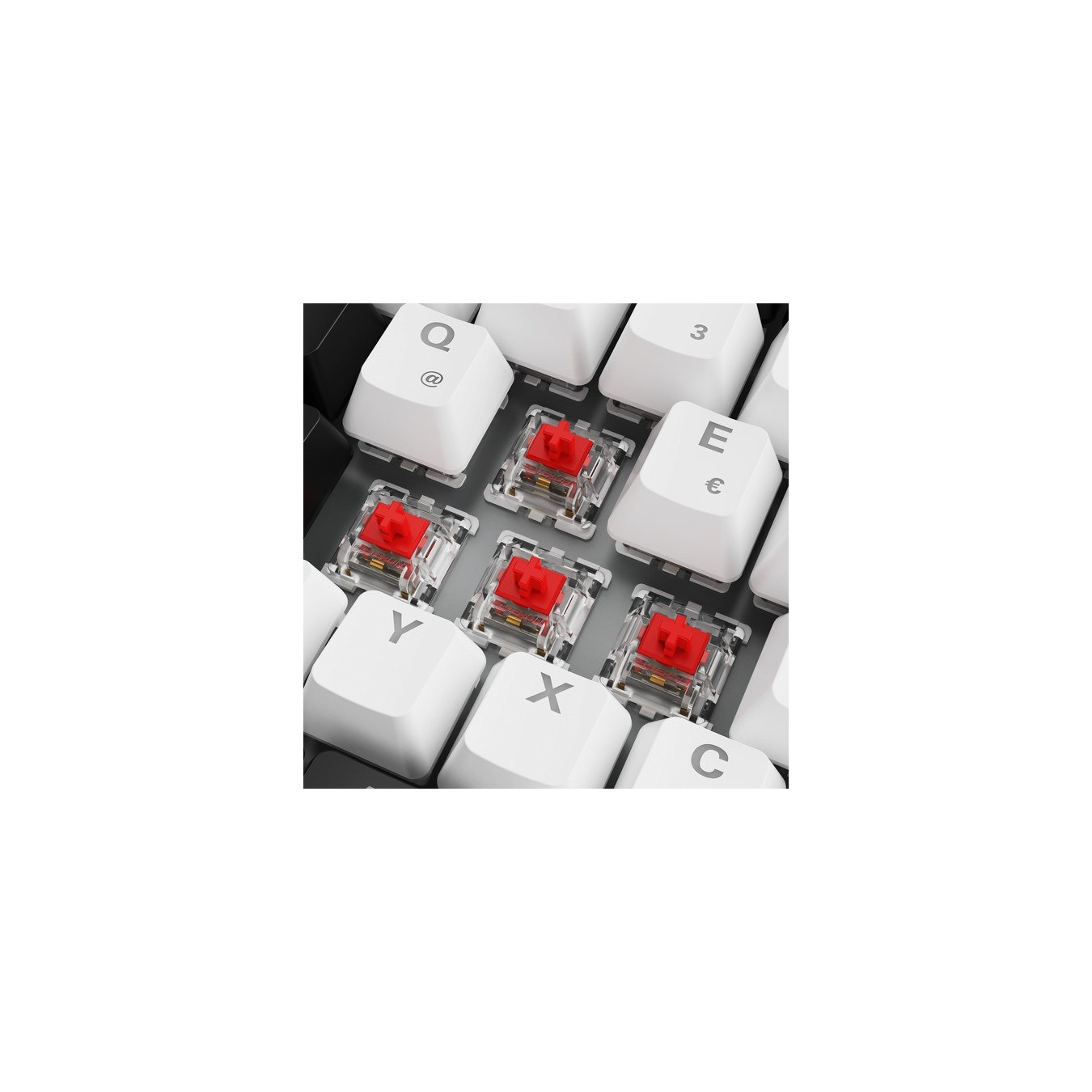 SKILLER SGK50 S3, Gaming Keyboard — Buy in Cyprus with Fast Delivery