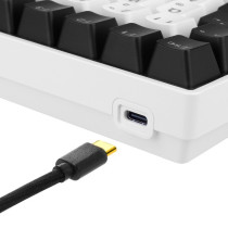 SKILLER SGK50 S3, Gaming Keyboard — Buy in Cyprus with Fast Delivery