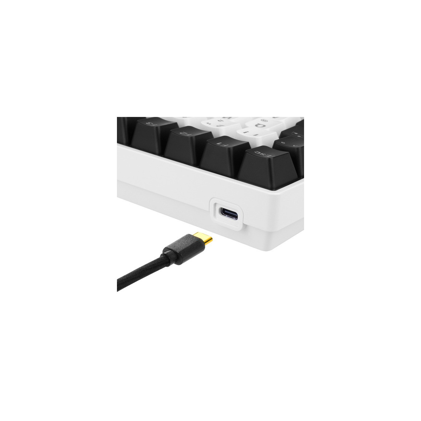 SKILLER SGK50 S3, Gaming Keyboard — Buy in Cyprus with Fast Delivery
