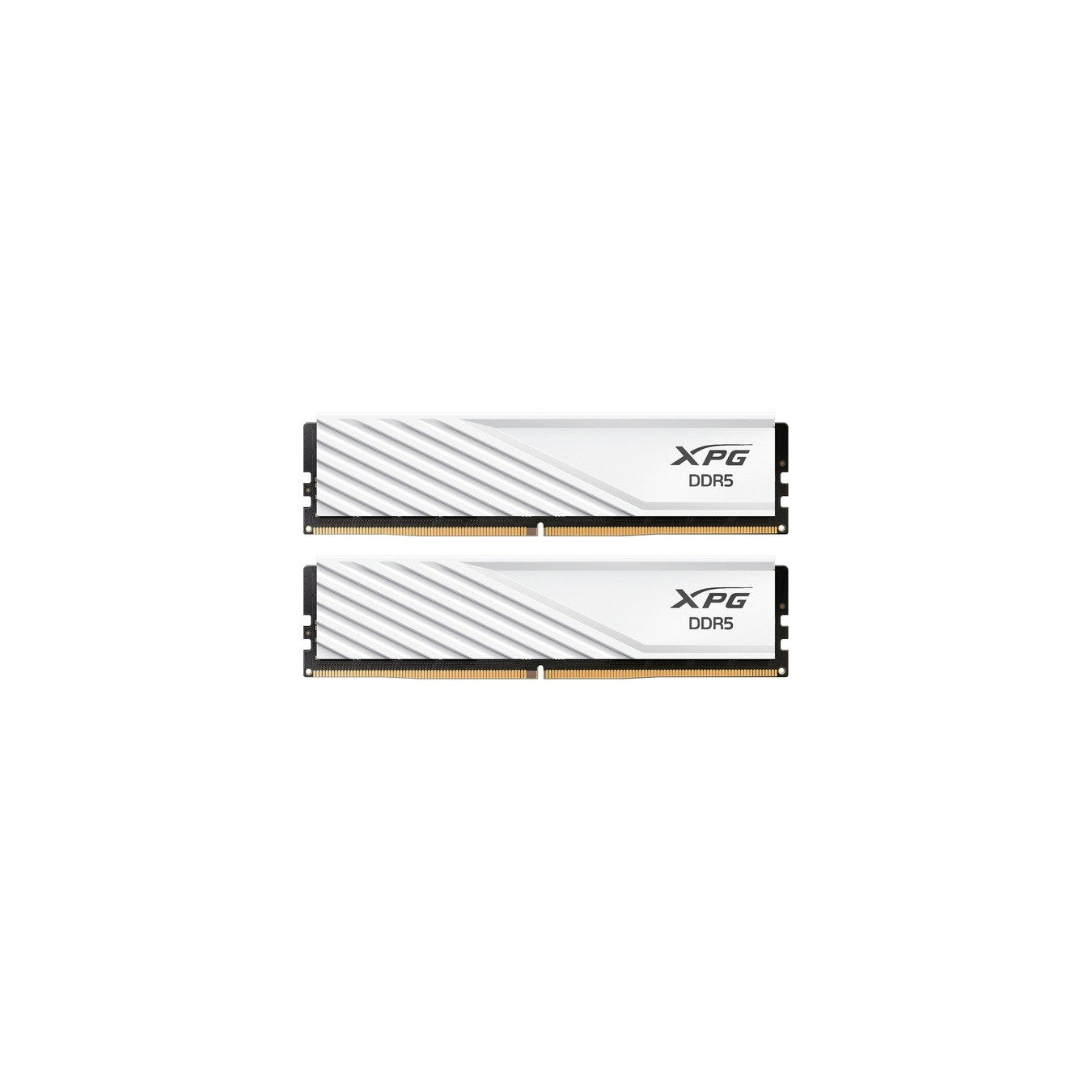 DIMM 16 GB DDR5-5600 (2x 8 GB) dual kit, RAM — Buy in Cyprus with Fast Delivery