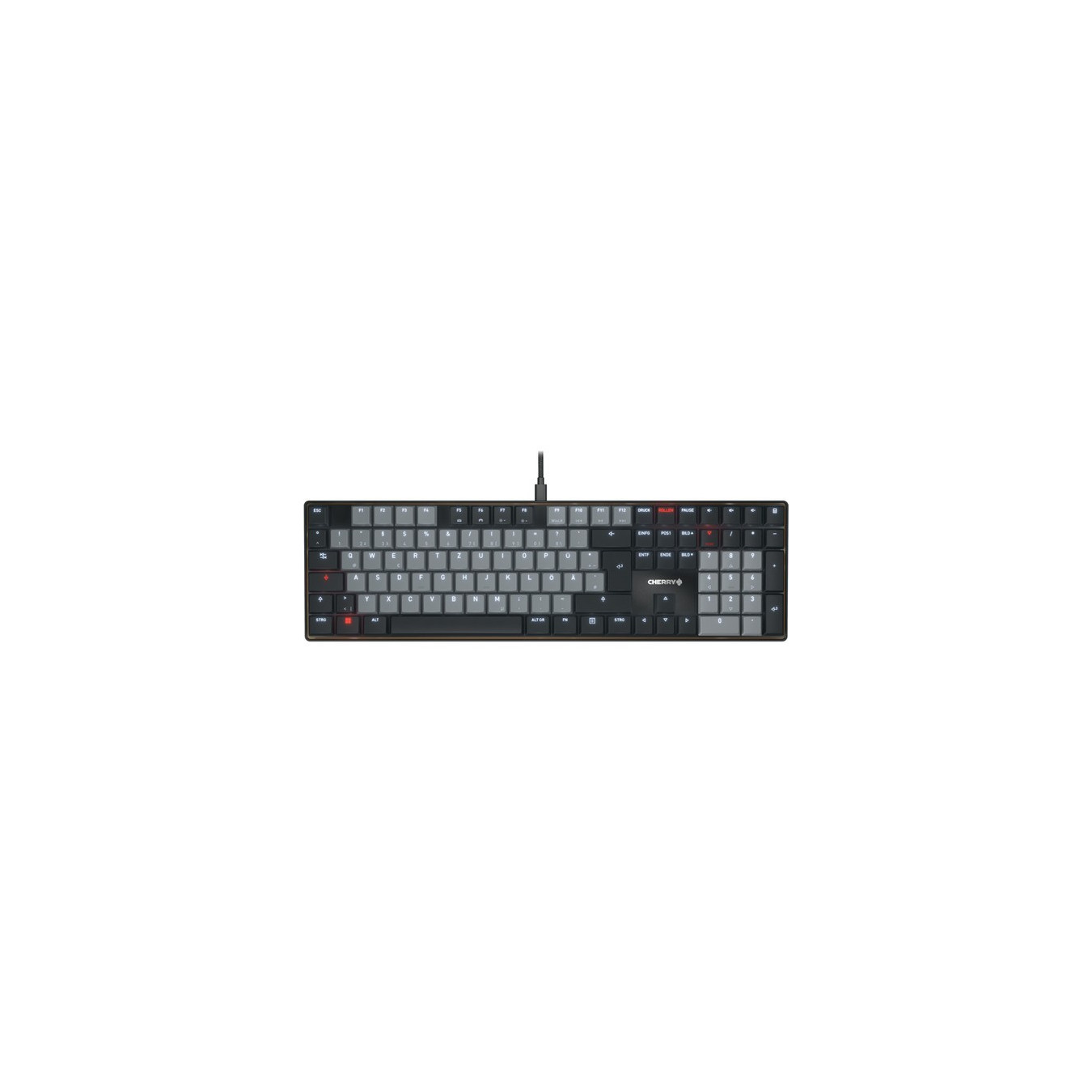 KC 500 MX LP, Keyboard — Buy in Cyprus with Fast Delivery