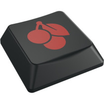 KC 500 MX LP, Keyboard — Buy in Cyprus with Fast Delivery