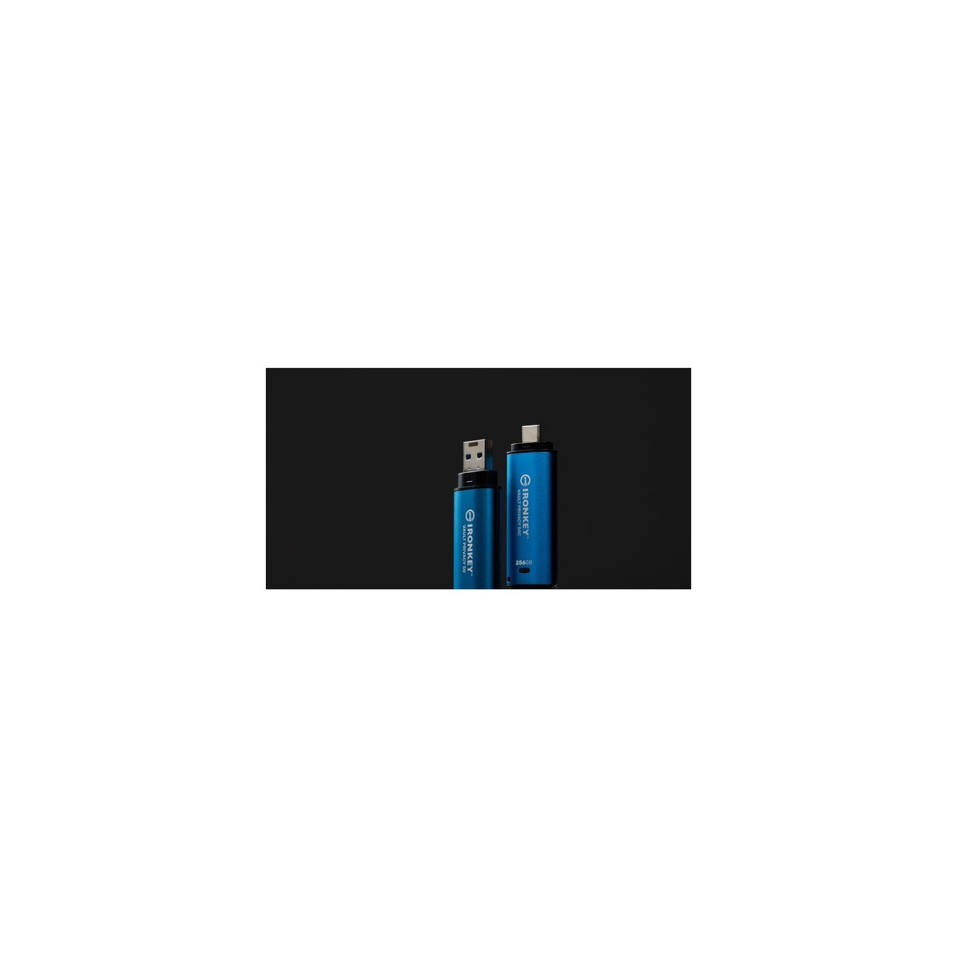 IronKey Vault Privacy 50 256 GB, USB-Stick — Buy in Cyprus with Fast Delivery