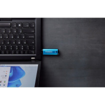 IronKey Vault Privacy 50 256 GB, USB-Stick — Buy in Cyprus with Fast Delivery