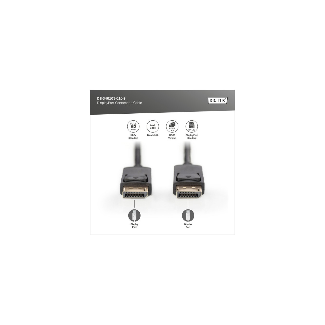 DisplayPort connection cable, Full HD 1080p — Buy in Cyprus with Fast Delivery