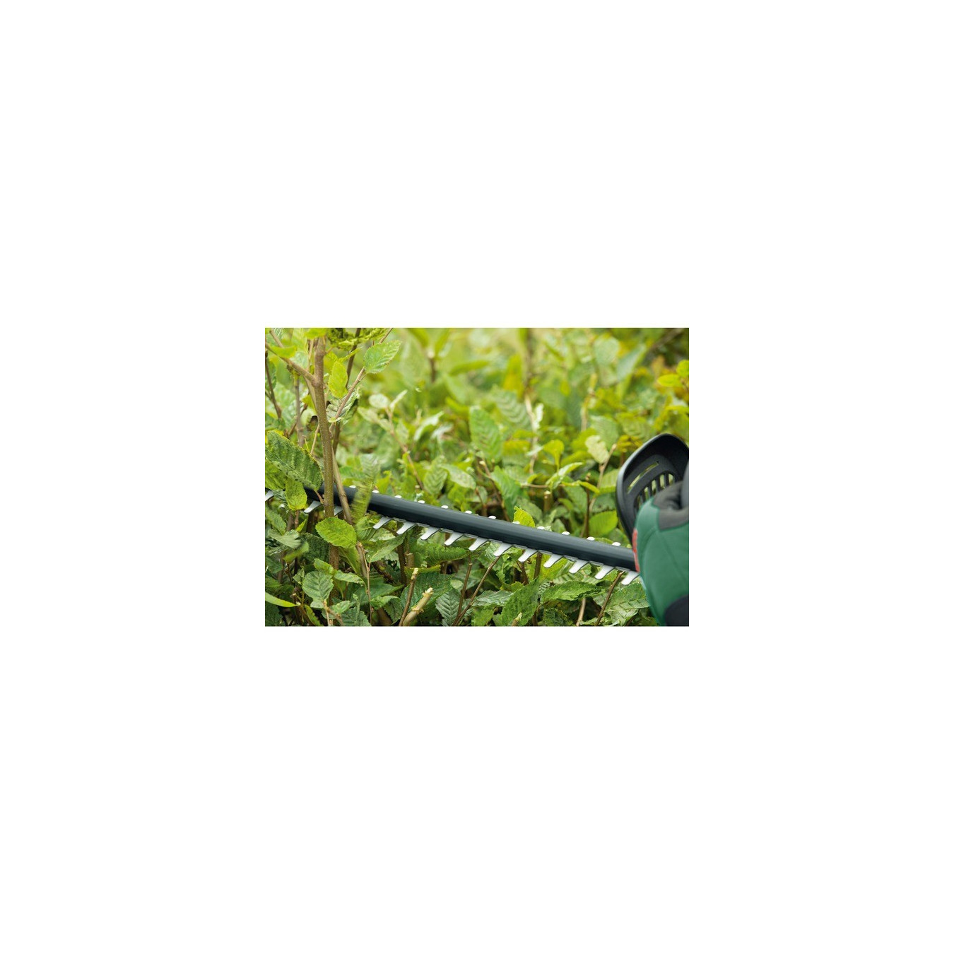 Cordless hedge trimmer Universal HedgeCut 18V-50 — Buy in Cyprus with Fast Delivery