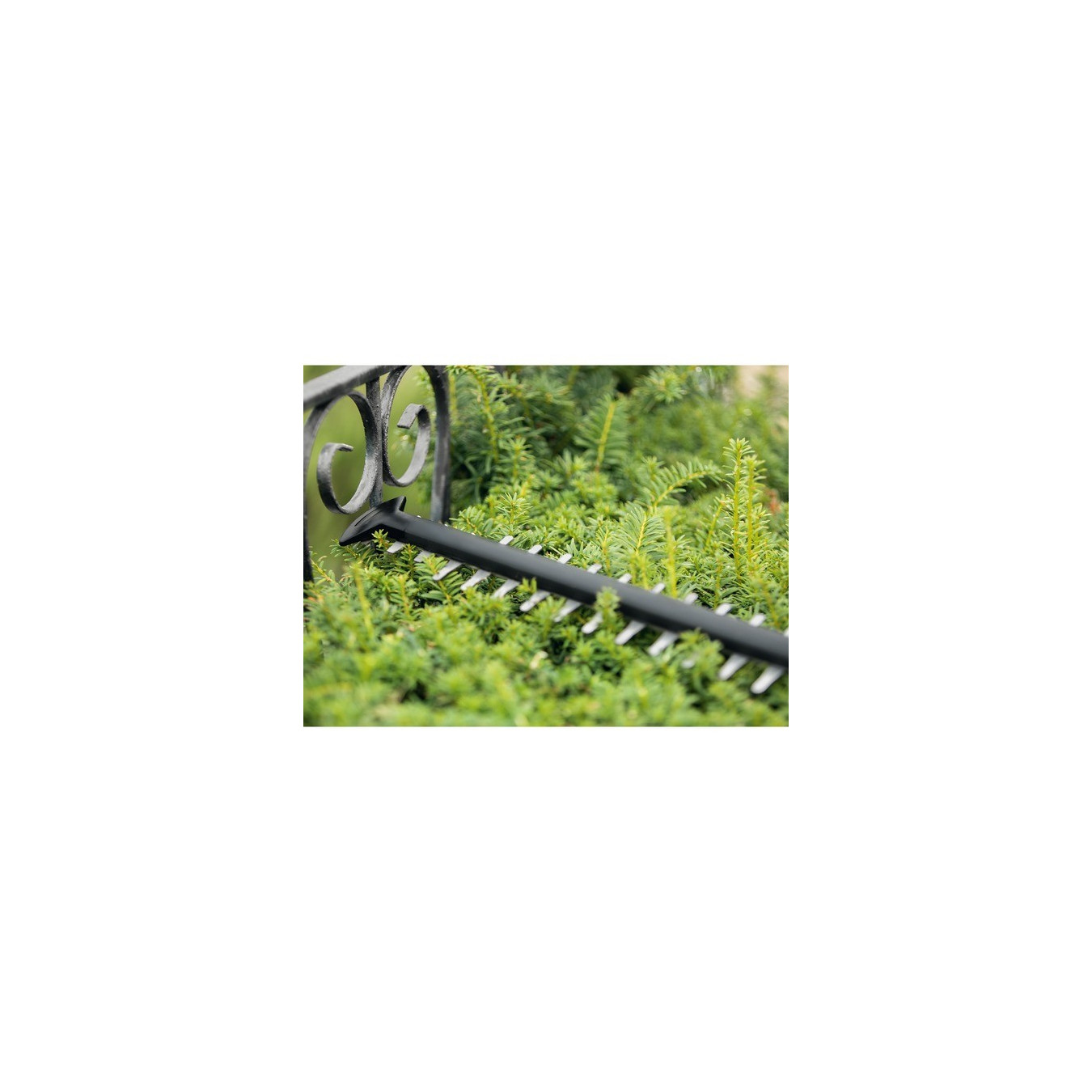 Cordless hedge trimmer Universal HedgeCut 18V-50 — Buy in Cyprus with Fast Delivery