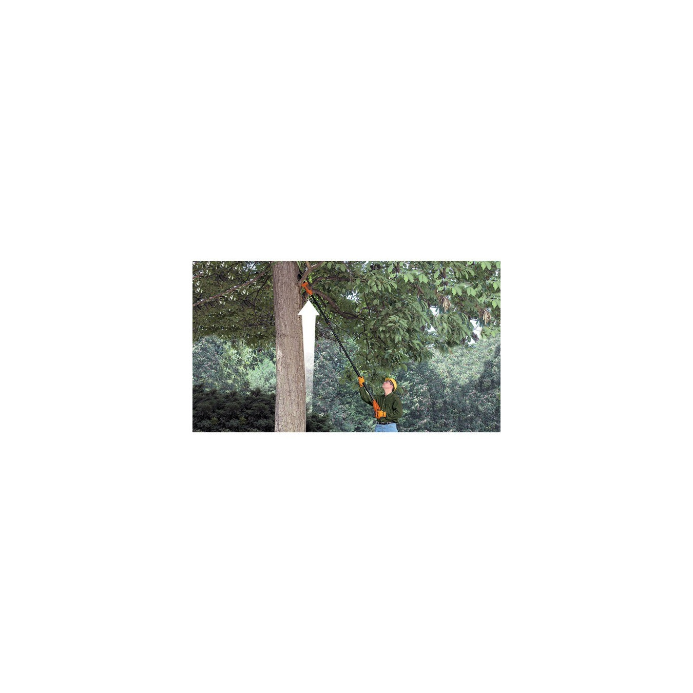 Cordless pole pruner GPC1820L20, 18 volts — Buy in Cyprus with Fast Delivery