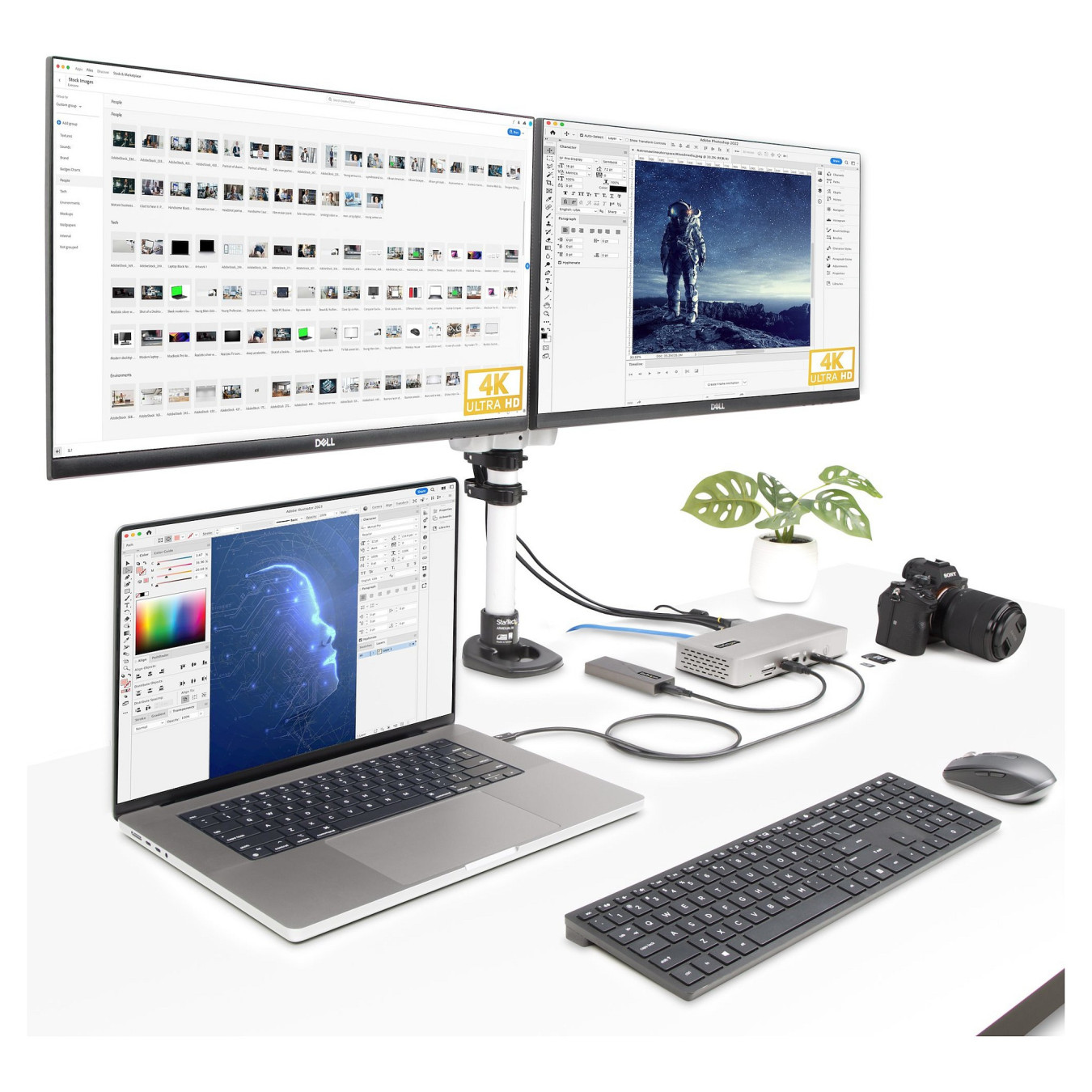 D StarTech THUNDERBOLT 4 DOCK 2X HDMI DP — Buy in Cyprus with Fast Delivery
