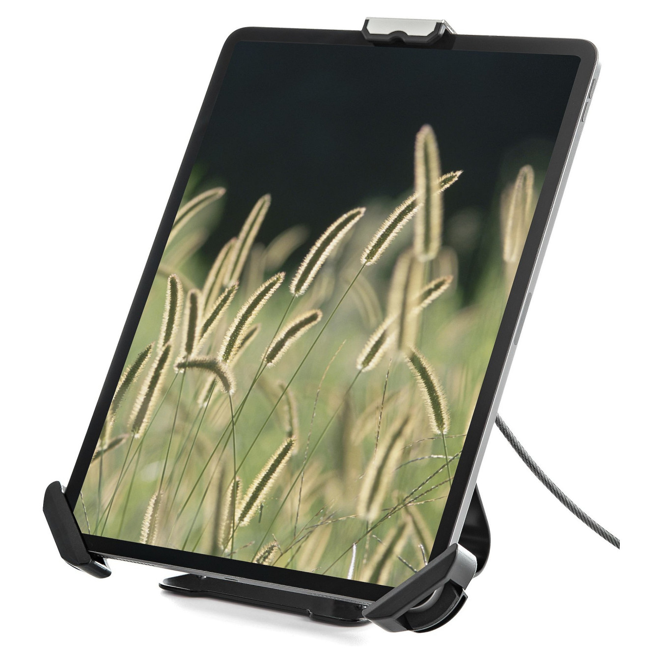 D StarTech SECURE TABLET STAND — Buy in Cyprus with Fast Delivery