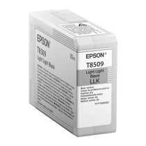 Epson C13T850900 light black — Buy in Cyprus with Fast Delivery