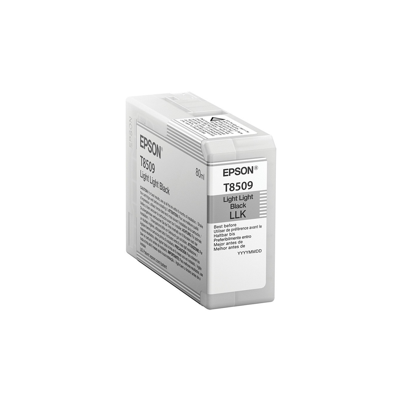 Epson C13T850900 light black — Buy in Cyprus with Fast Delivery